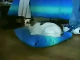 minik sarışın anal amatör davranır onun horoz iyi