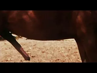 VR BANGERS türk amatör lezbiyen flört uygulamasından kıvrımlı fahişe sikişmek için geldi