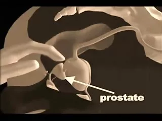 Şık amatör türk porno resimleri İspanyol'un Yağlı Egzersizi